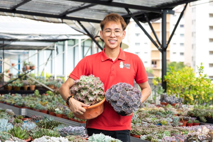 Cheerful succulent seller turned a passion project into a thriving business. 